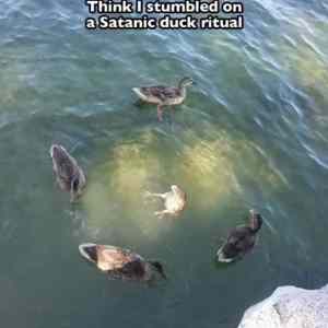 Obrázek 'SatanicRitual '