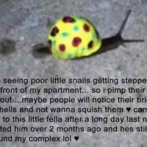 Obrázek 'Save the snails'