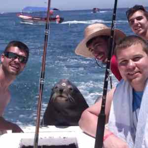 Obrázek 'Seals6890'