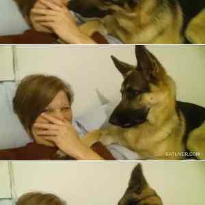 Obrázek 'Selfies   '