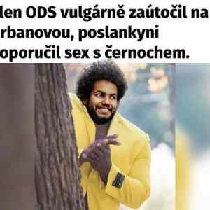 Obrázek 'Sex s cernochem'
