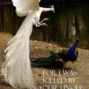 Obrázek 'Shakespearean&nbsp;Squabbles&nbsp;-&nbsp;30-04-2012'