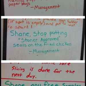 Obrázek 'Shane&nbsp;&nbsp;&nbsp;'