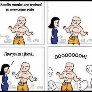 Obrázek 'ShaolinMonks'