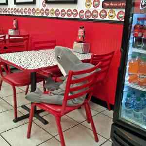 Obrázek 'Shark&nbsp;boy&nbsp;is&nbsp;sad'