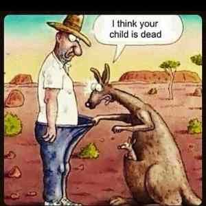 Obrázek 'Shocked kangaroo'