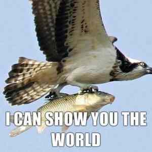 Obrázek 'Show You The World'