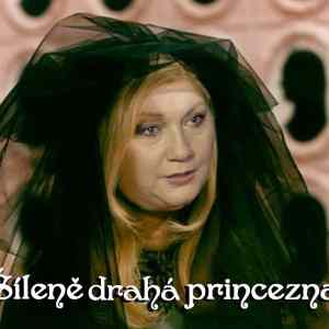 Obrázek 'SileneDraha'