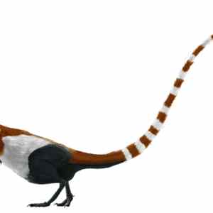 Obrázek 'Sinosauropteryx by mmartyniuk solosml'