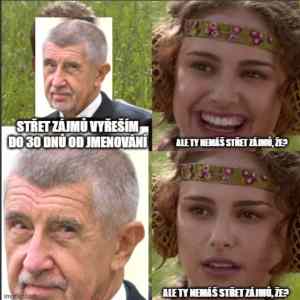 Obrázek 'Skret zajmu'