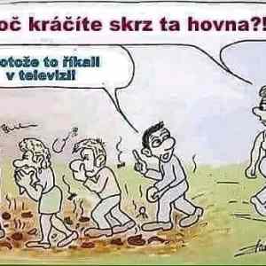 Obrázek 'Skrz hovna'