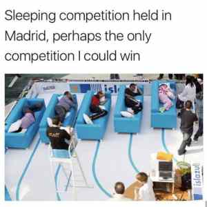 Obrázek 'Sleeping Competition'