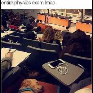 Obrázek 'Slept Through The Entire Exam'