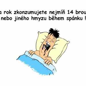 Obrázek 'Slide5'