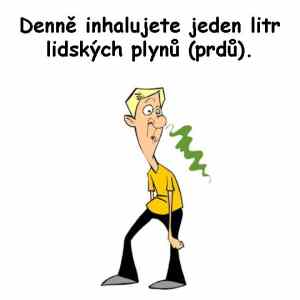 Obrázek 'Slide8'