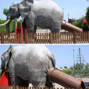 Obrázek 'SlonKlouzacka'