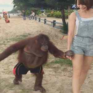 Obrázek 'Slovak&nbsp;v&nbsp;Cine'