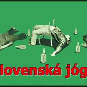 Obrázek 'Slovenska joga 19-03-2012'