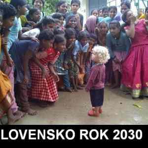Obrázek 'Slovensko 2030'