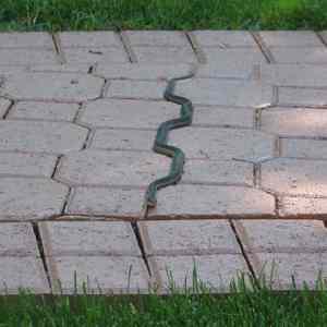 Obrázek 'Snake 210911'