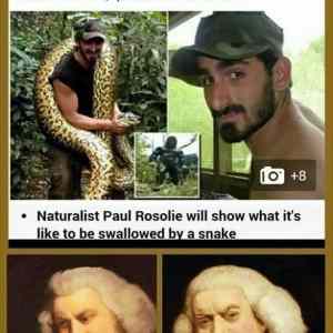 Obrázek 'Snake Proof'