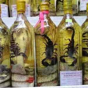 Obrázek 'Snake Wine4'