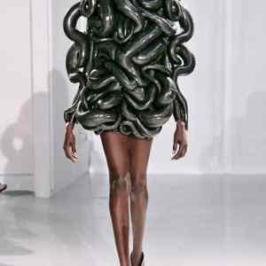 Obrázek 'Snakedress'