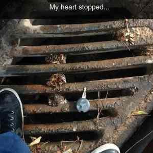 Obrázek 'So&nbsp;close45890'