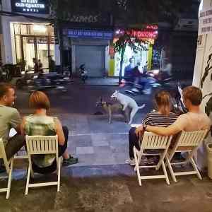 Obrázek 'So&nbsp;romantlc'