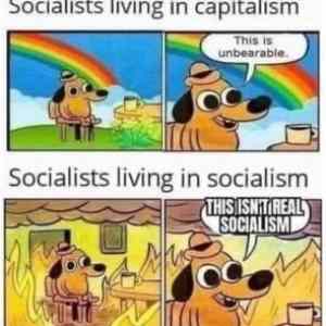Obrázek 'Socialist POV'