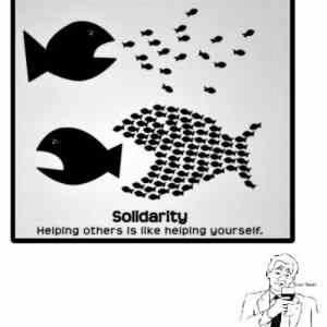 Obrázek 'Solidarity bro'