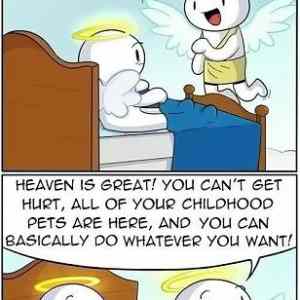 Obrázek 'Some&nbsp;things&nbsp;never&nbsp;change'