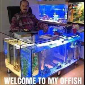 Obrázek 'Something&nbsp;fishy&nbsp;here'