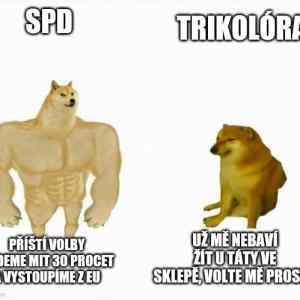 Obrázek 'Spd FDW'