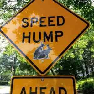 Obrázek 'Speed Hump Ahead'