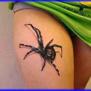 Obrázek 'Spider Tattoo 05-03-2012'
