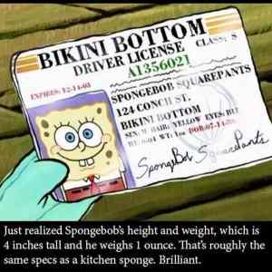 Obrázek 'SpongebOb '