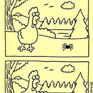 Obrázek 'Spot the 8 differences'