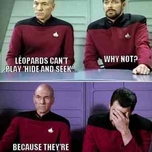 Obrázek 'SpottedLeopards'