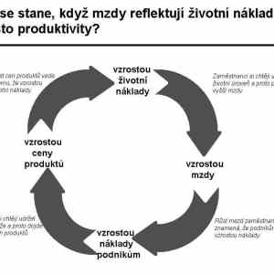 Obrázek 'Spravni pravicaci nezadaji o zvyseni platu'