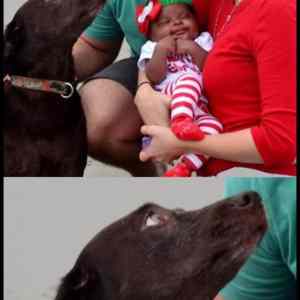 Obrázek 'Start&nbsp;Asking&nbsp;Questions&nbsp;Dave'