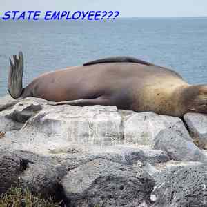 Obrázek 'State&nbsp;employee'