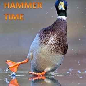 Obrázek 'Stop - Hammer time'