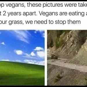 Obrázek 'Stop VeganS'