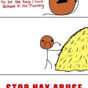 Obrázek 'Stop hay abuse'