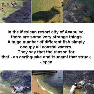 Obrázek 'Strange&nbsp;things&nbsp;around&nbsp;the&nbsp;World'