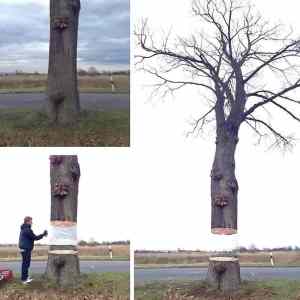 Obrázek 'Street cool art'