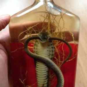 Obrázek 'Strong&nbsp;Stuff'