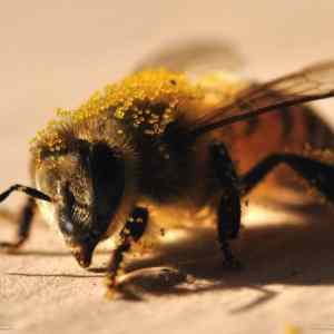 Obrázek 'Superb&nbsp;Photos&nbsp;From&nbsp;National&nbsp;Geographic4'