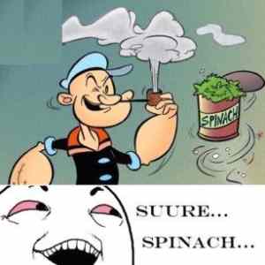 Obrázek 'Sure-Spinach'